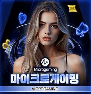마이크로게이밍 카지노