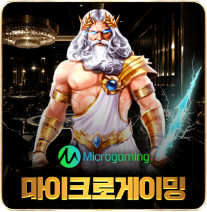 마이크로게이밍 슬롯